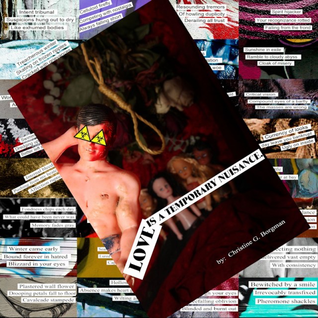 collage-020817-2_copy1-2