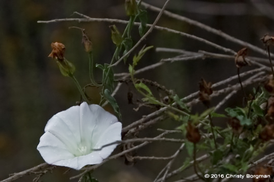 103016baldwinhills-2