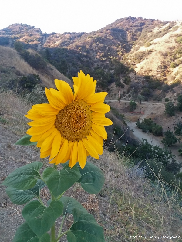 20190731_183333